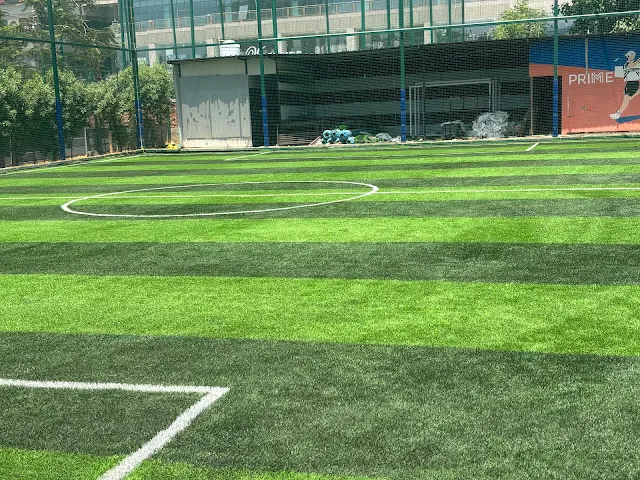 Turf photo 3
