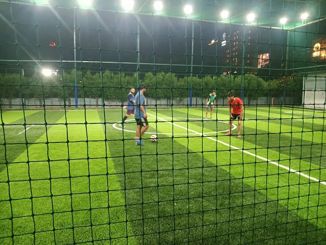 Turf photo 5