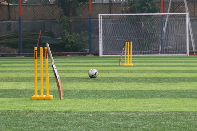 Turf photo 11