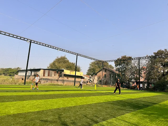 Turf photo 9