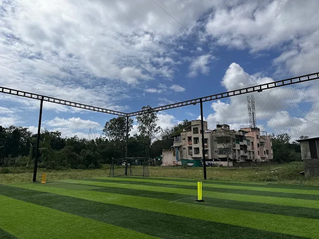 Turf photo 11