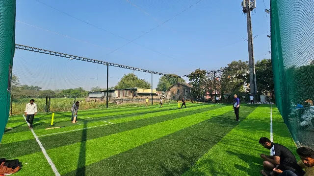 Turf photo 10