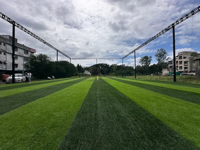 Turf photo 12