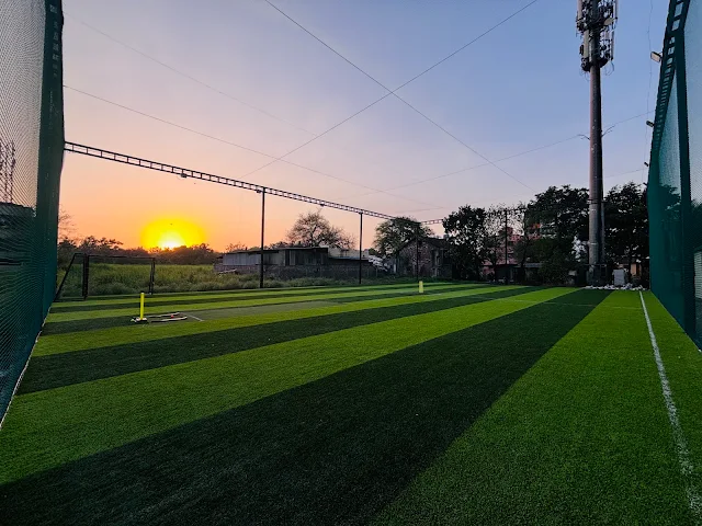 Turf photo 2