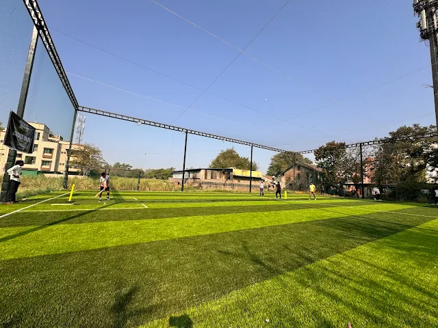 Turf photo 3