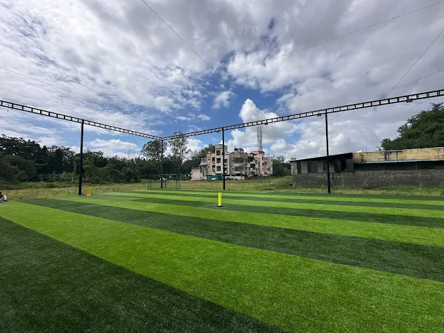 Turf photo 8
