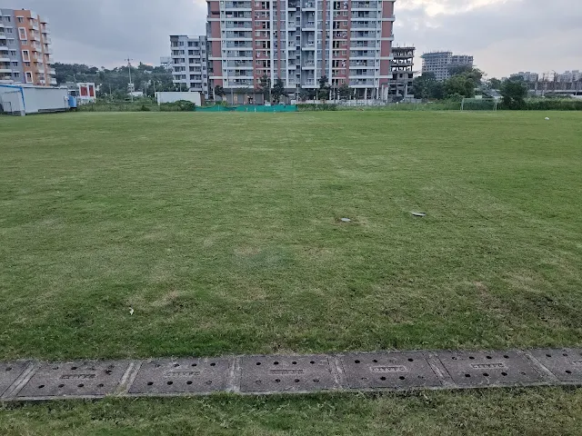 Turf photo 2