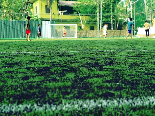 Turf photo 2
