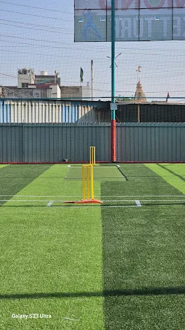 Turf photo 2