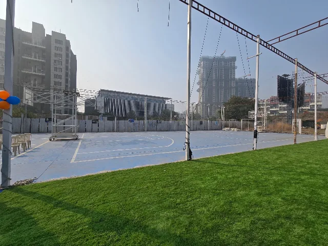 Turf photo 5