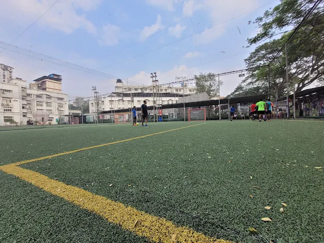 Turf photo 2