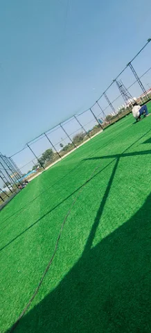 Turf photo 2