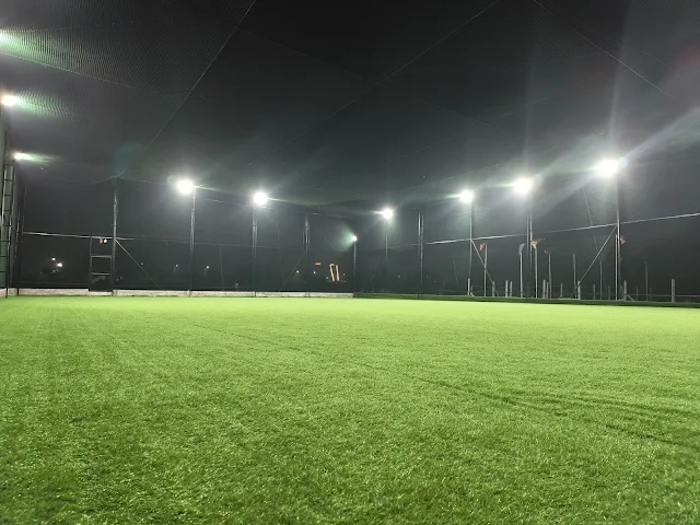 Turf photo 3