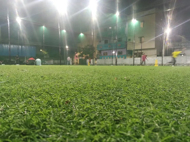 Turf photo 7