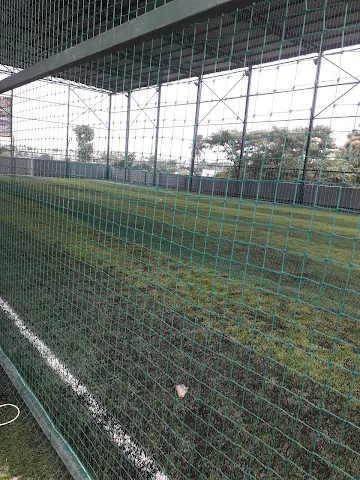 Turf photo 2