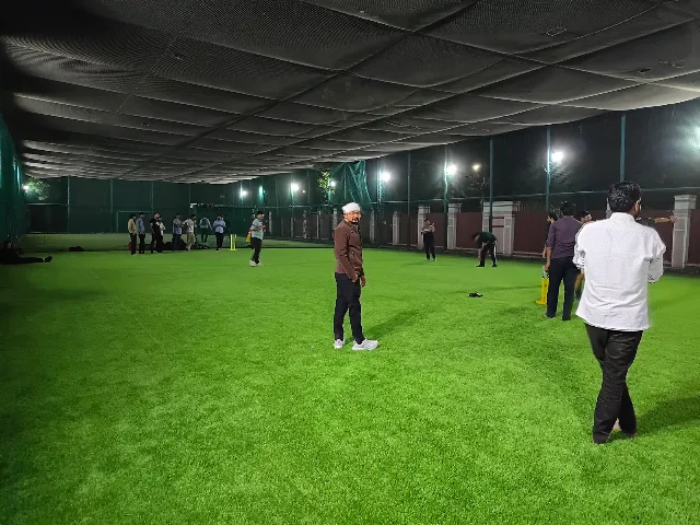 Turf photo 2