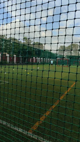 Turf photo 4