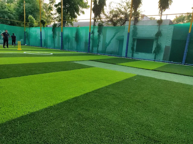 Turf photo 2