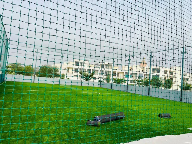 Turf photo 4