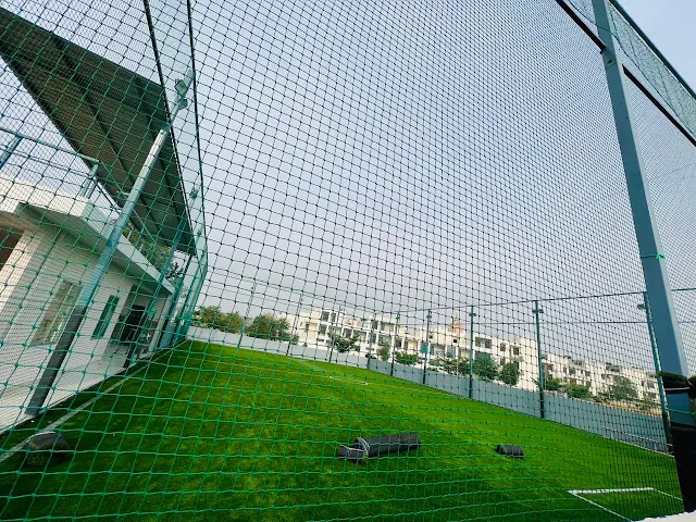 Turf photo 2