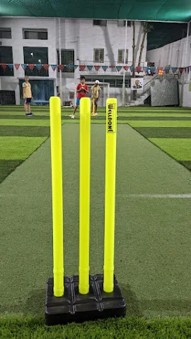 Turf photo 2