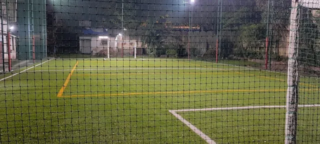 Turf photo 6