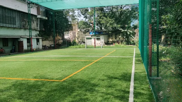 Turf photo 3