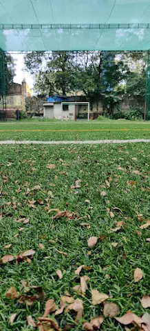 Turf photo 7