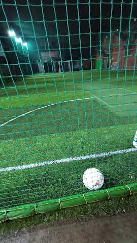 Turf photo 4