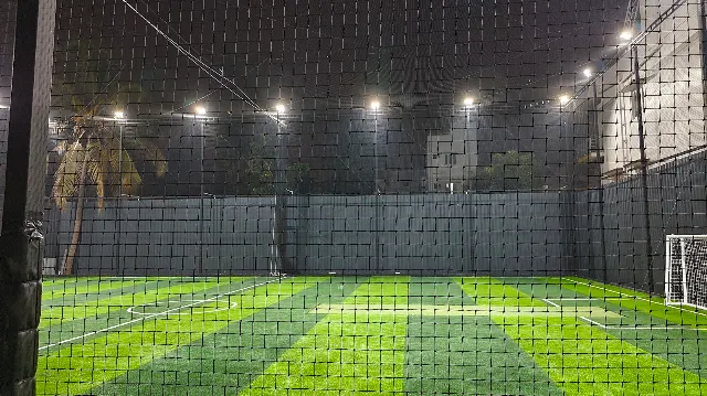 Turf photo 3