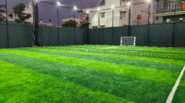 Turf photo 4