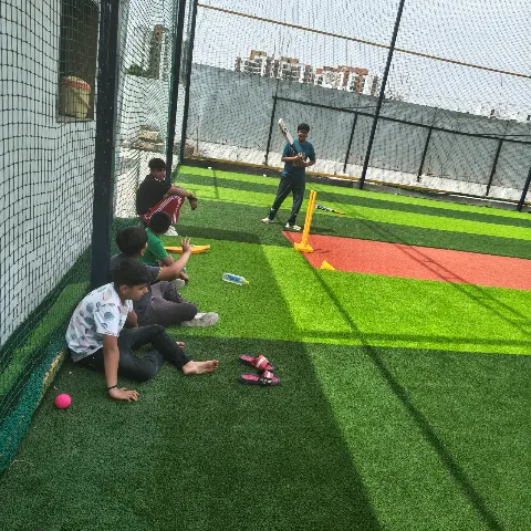 Turf photo 2