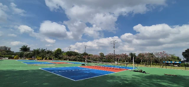 Turf photo 7