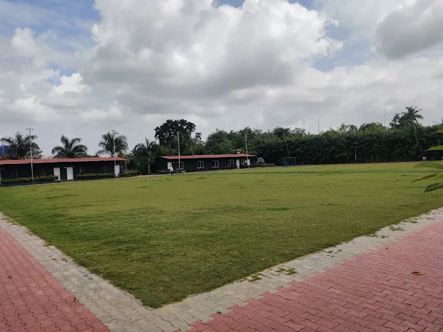 Turf photo 11