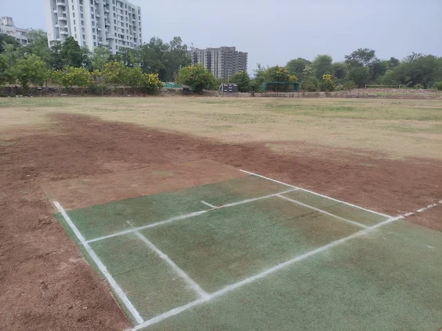 Turf photo 4
