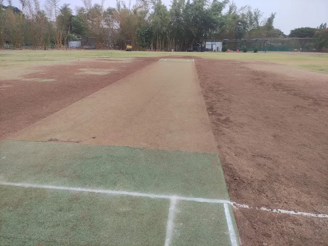 Turf photo 6