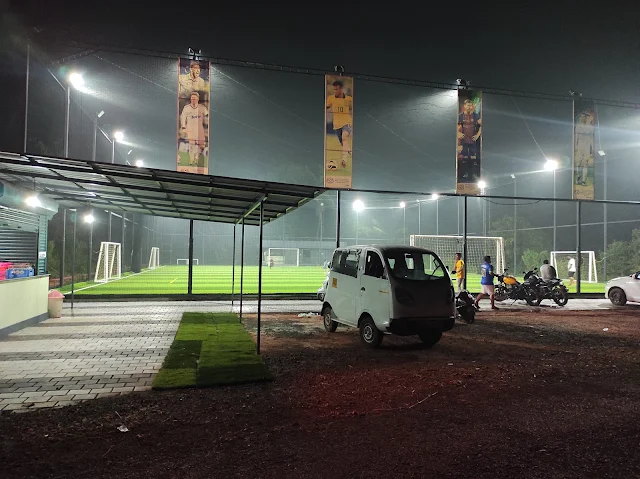 Turf photo 4