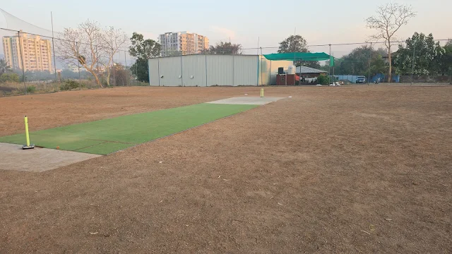Turf photo 7