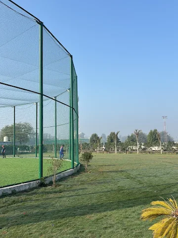 Turf photo 4