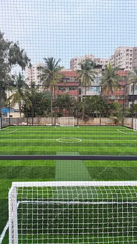 Turf photo 3