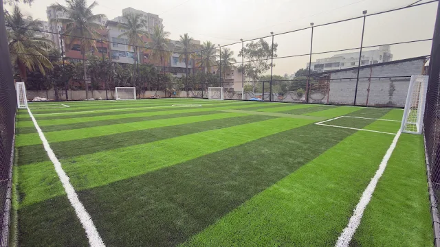 Turf main photo