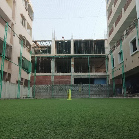 Turf photo 2
