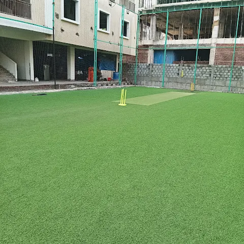 Turf photo 3