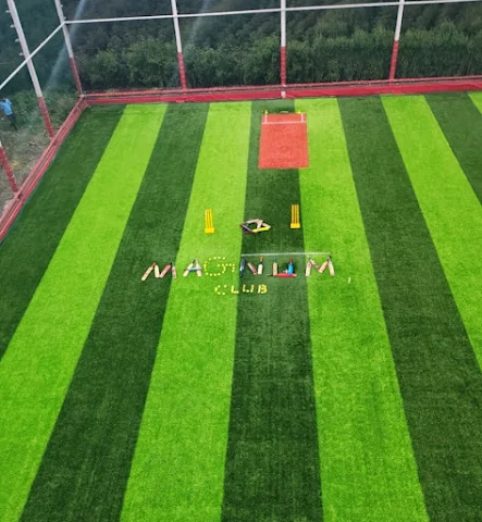 Turf photo 6