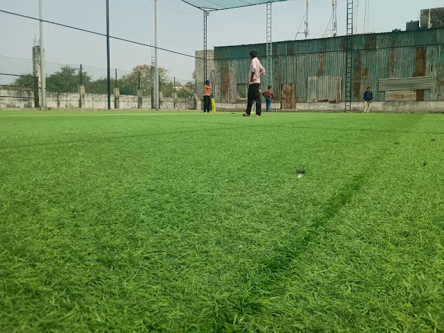 Turf photo 2