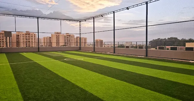 Turf photo 2