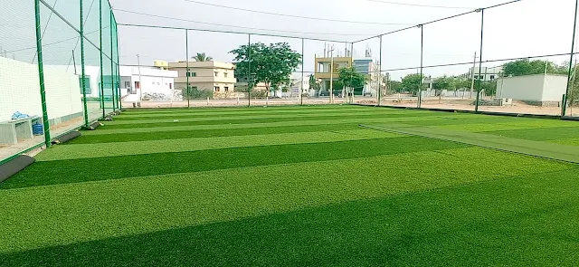 Turf photo 2