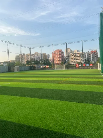 Turf photo 11