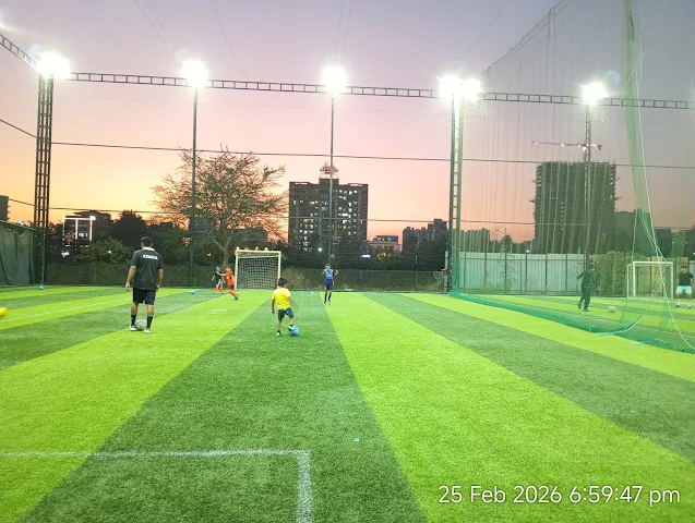 Turf photo 12