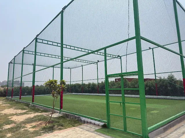 Turf photo 4